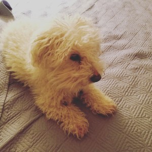 IMG_20180311_005815_179